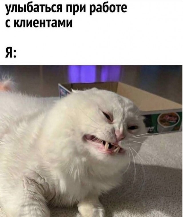 Картиночки, баянчики 25 июня