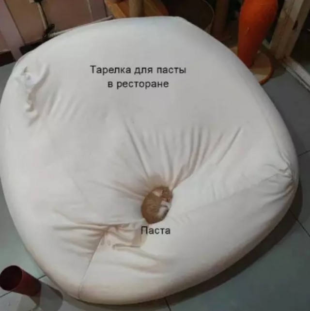 Картиночки, баянчики 01 августа