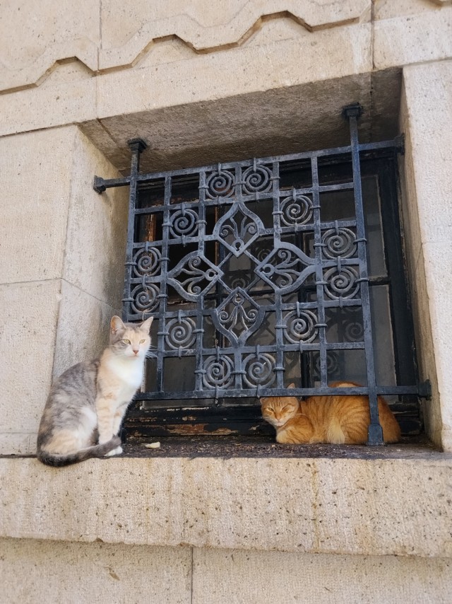 Заморочились на Марокко...