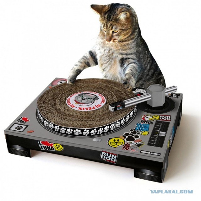 Странные товары для кошатников