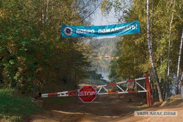 Маразмы года 2013