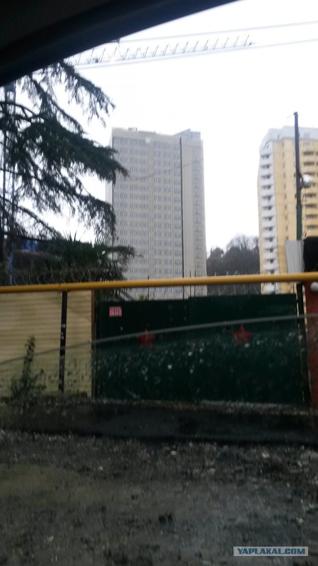 Олимпиада через задницу