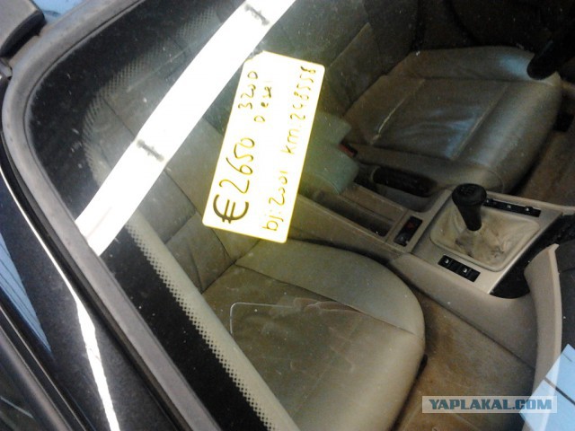 Где яблоки растут!