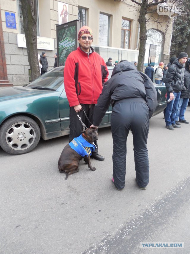 Тем временем в Харькове наводят порядок