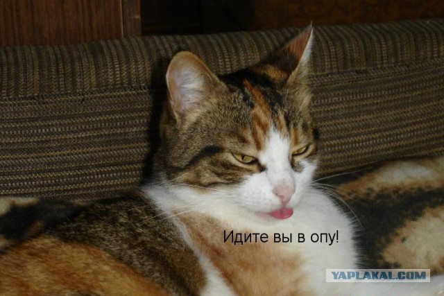 США ответило на просьбу Порошенко