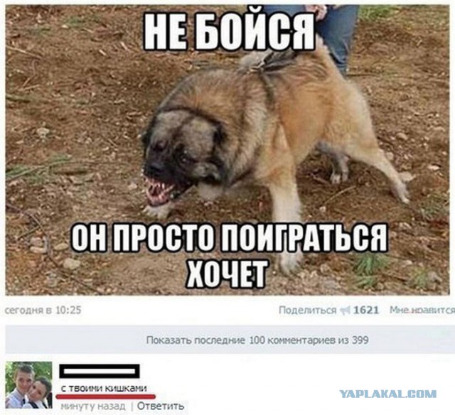 Коменты из СоцСети