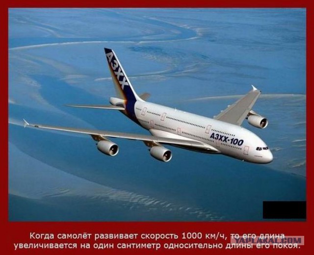 20 фактов обо всем