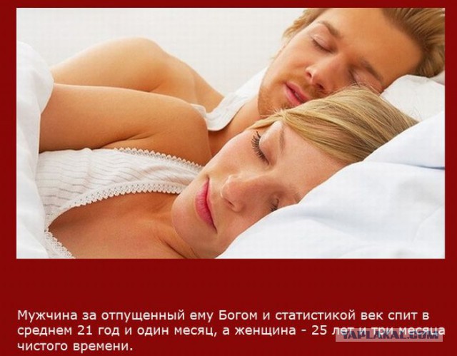 20 фактов обо всем