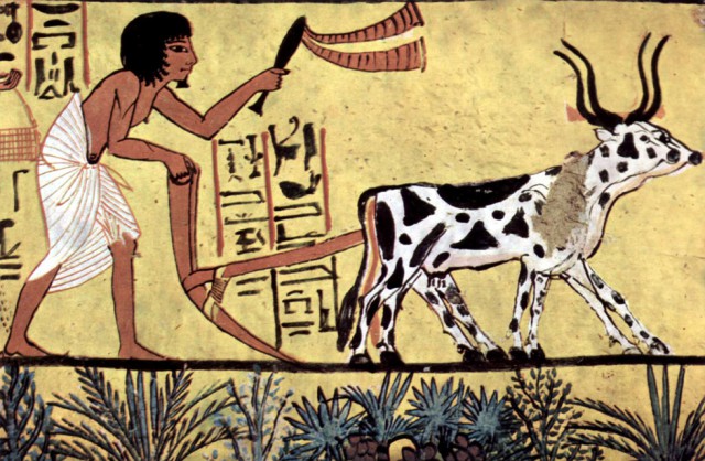 В чем вы могли заблуждаться про Древний Египет