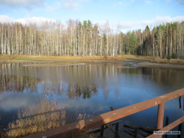 Будни лесозаготовителя
