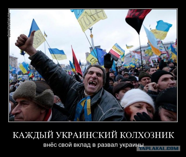 Тем временем Лукашенко строит стену