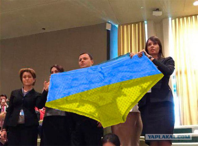 Украинскую делегацию вывели из зала
