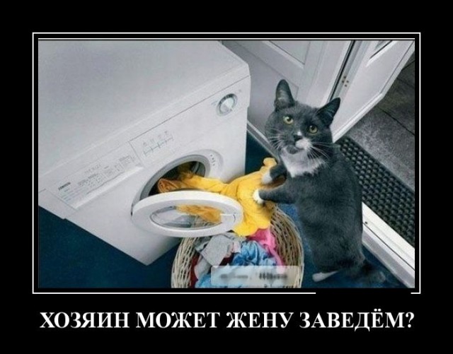 Подборка прикольных фото на среду