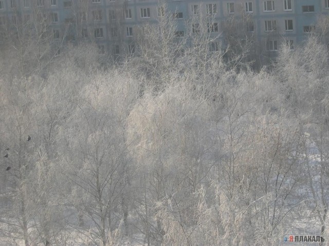 ЗИМА. Зимние картинки, отмороженная подборка