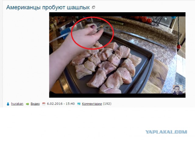 Американцы пробуют шашлык
