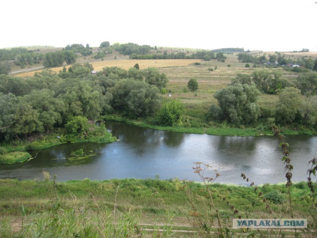 Я узнал, что у меня есть огромная семья