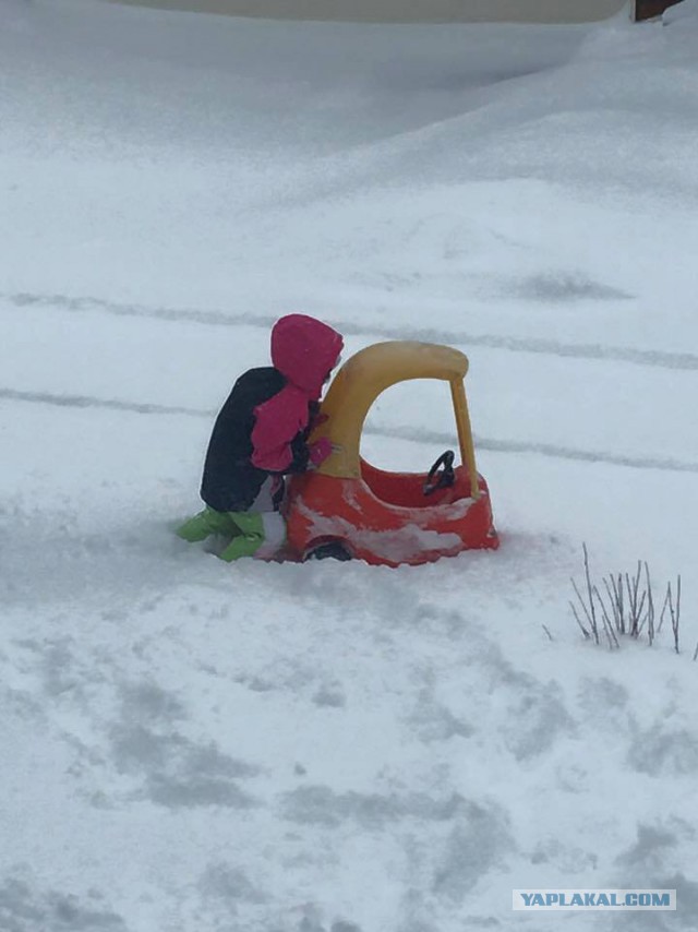 Прикольные картинки и демотиваторы