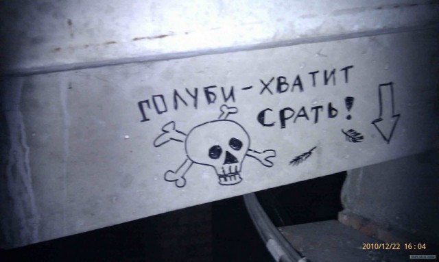 Настоящий крик души выглядит именно так