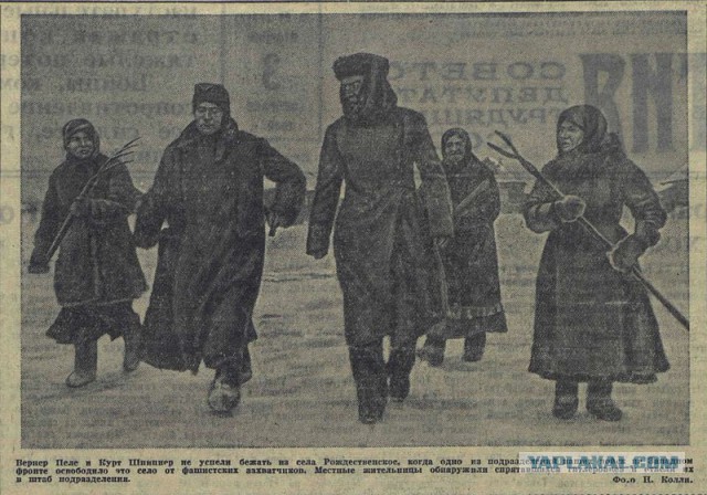 Расстрелы