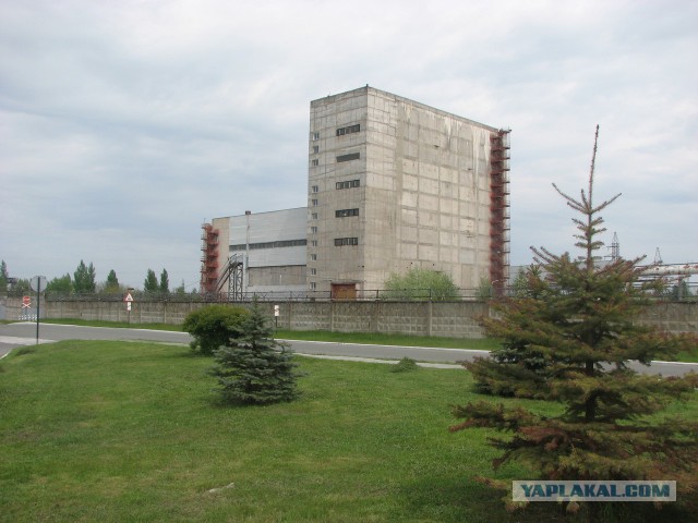 Черная быль