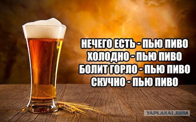 Смешные комментарии 19.06.2016