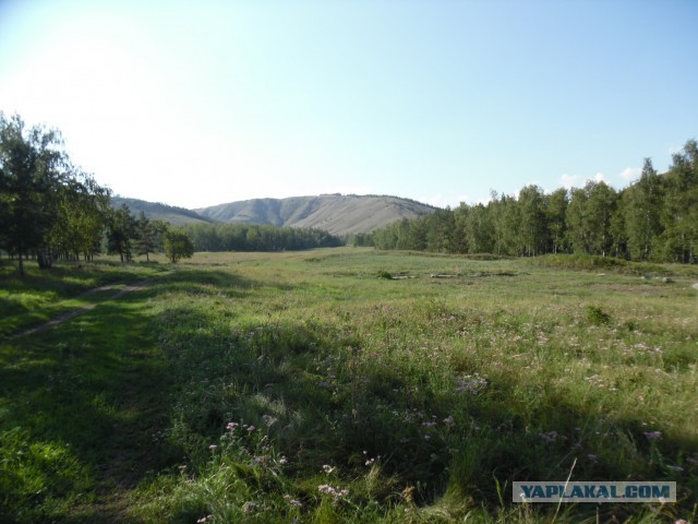 Зарница для старперов