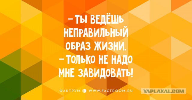 Высказывания из Интернета