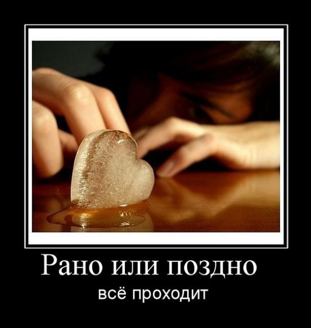 Подборка прикольных и веселых картинок