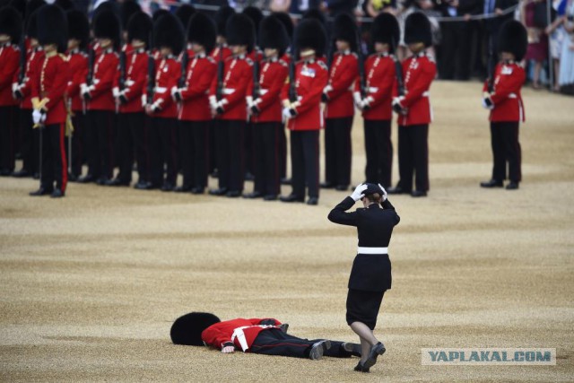 Главные фотографии года по версии Reuters