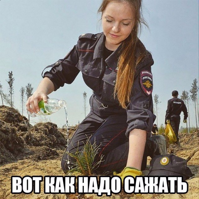 Подборка безудержного веселья