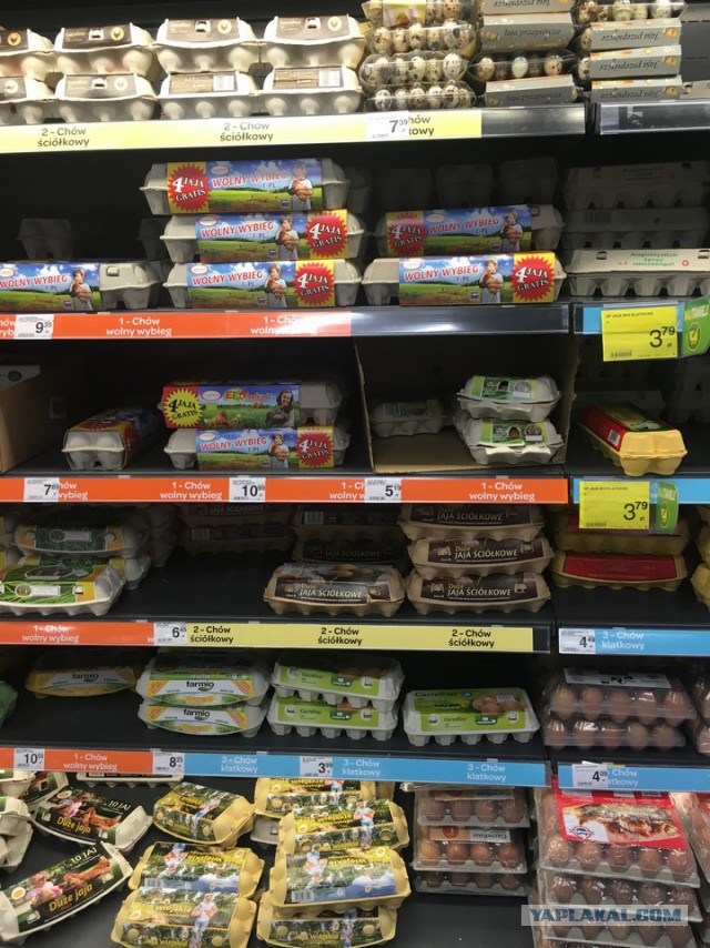 Цены в Польше на продукты