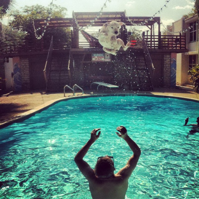 Подборка интересных и веселых картинок