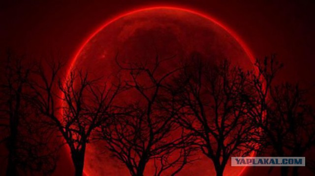 Ураган «Ирма» может достичь невероятной 5-й категории и обрушится на США