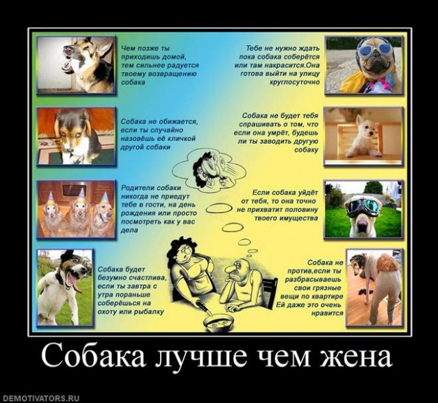 Девушку люблю, но предателем из-за нее становиться не хочу