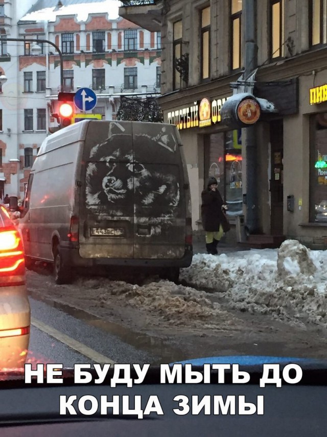 Прикольные картинки обо всём