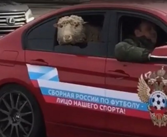 Нестандартный юмор