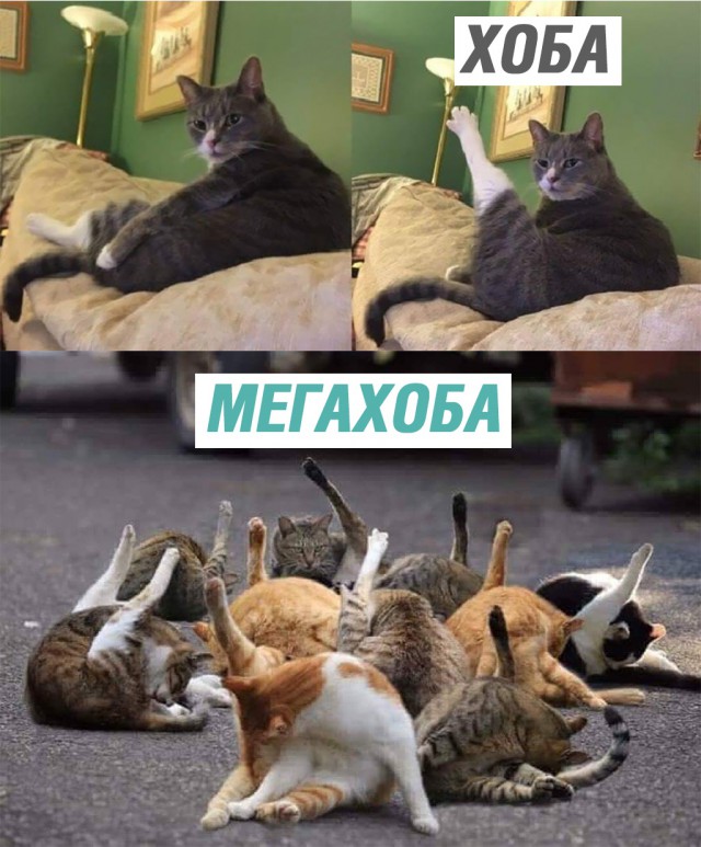 Немного милоты