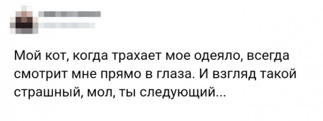 Прикольные комментарии и высказывания из Сети