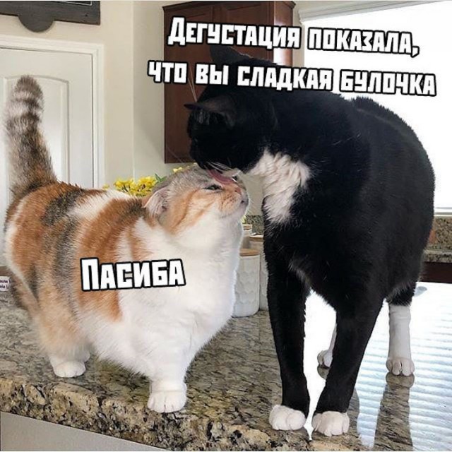 Немного картинок для настроения