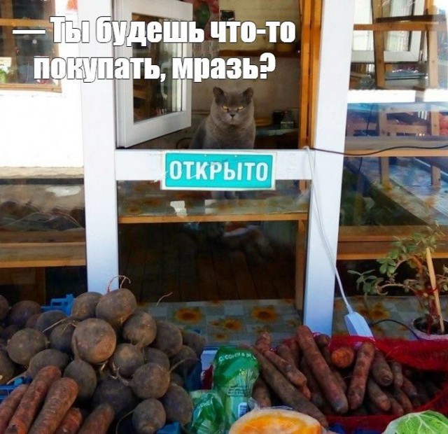 Картиночки