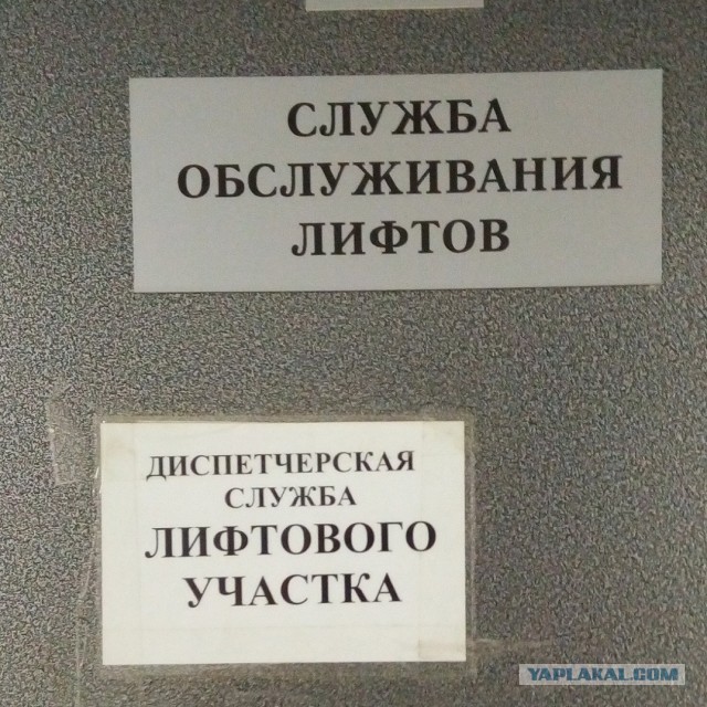 Новый год на работе