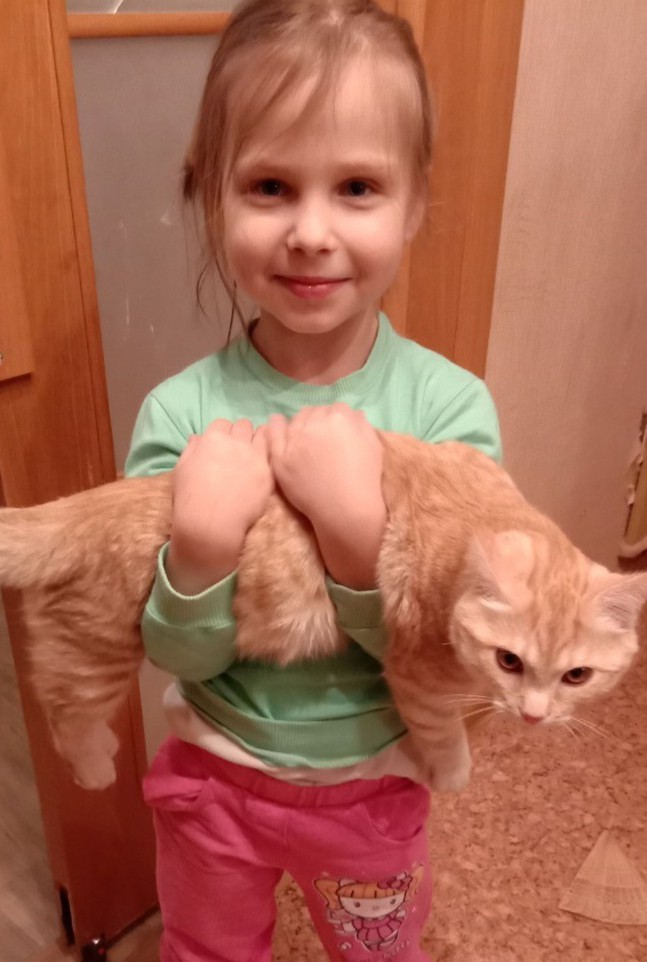 Отданные даром. К котовторнику