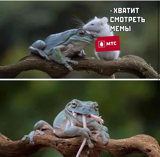 Глава МТС призвал абонентов смотреть меньше мемов, чтобы снизить нагрузку на сети в условиях карантина