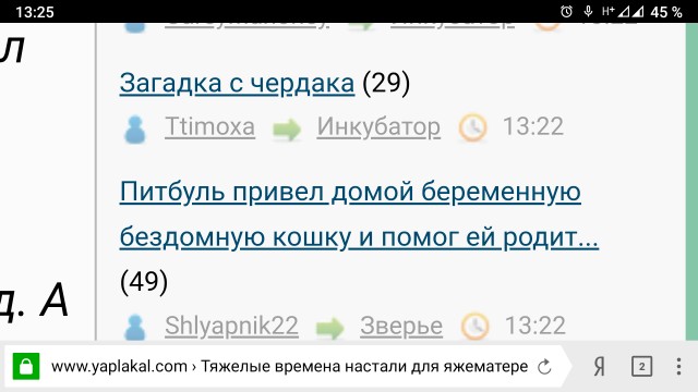 Загадка с чердака