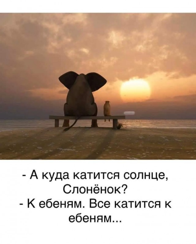 Так себе картинки 10.06.20