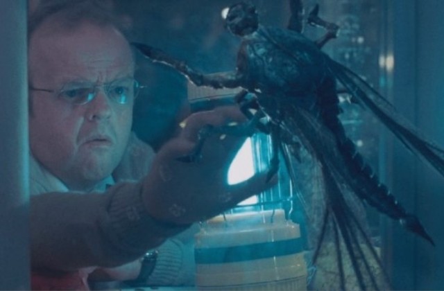 Красноярск атаковали полчища насекомых