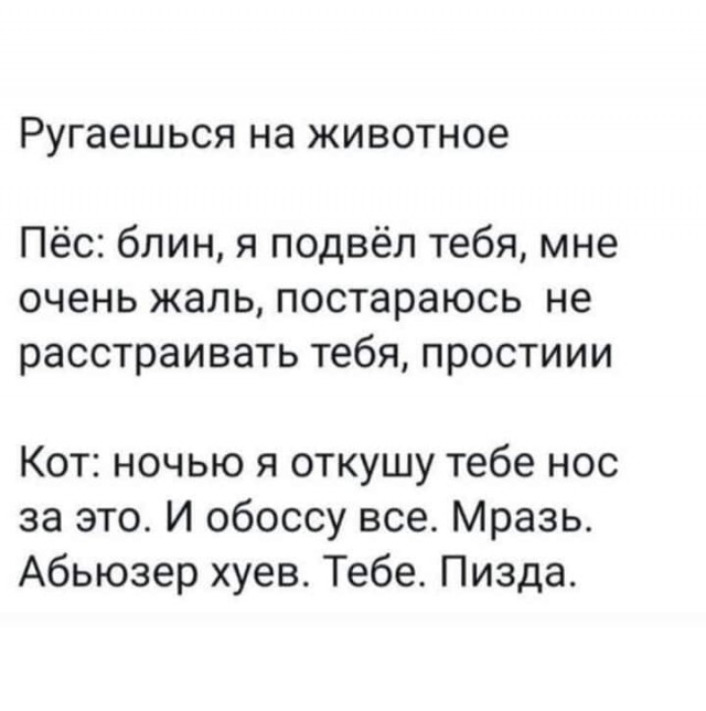 Чистосердечные признания и объяснительные нашкодивших котеек