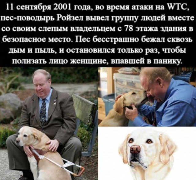 Картинки и мемы для настроения 010