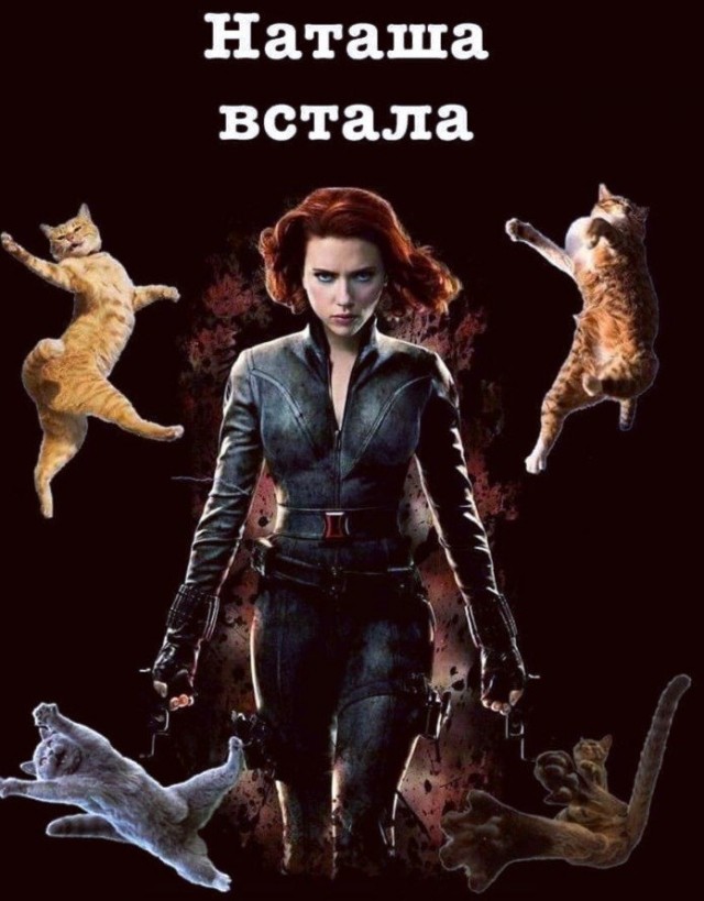 Мемы про Наташу