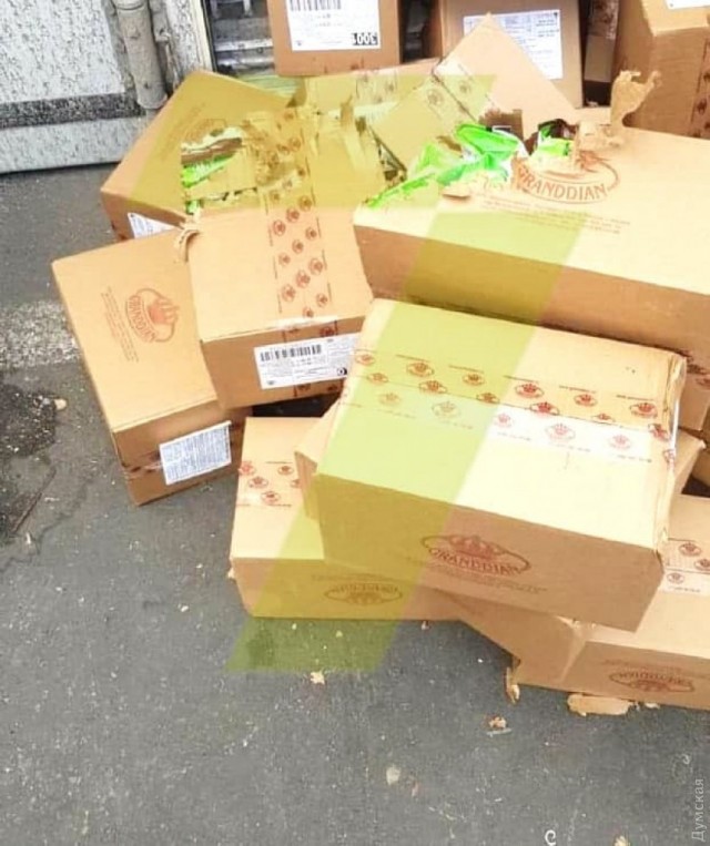 Кошка три недели провела в контейнере по пути из Одессы в Израиль: в дороге животное питалось конфетами